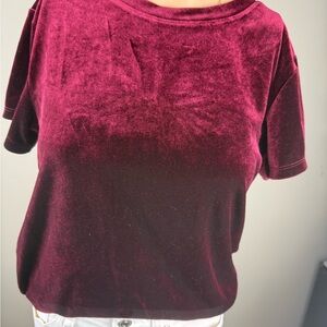 Abercrombie & Fitch Velvet Maroon Short Sleeve Top